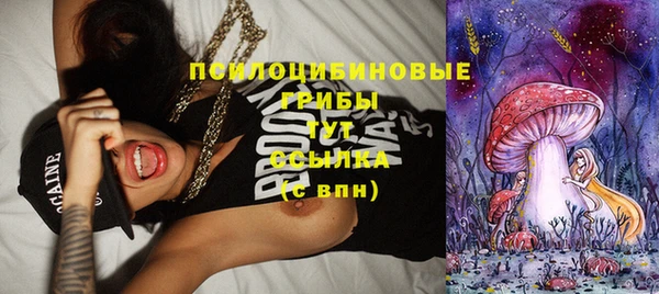 a pvp Вяземский