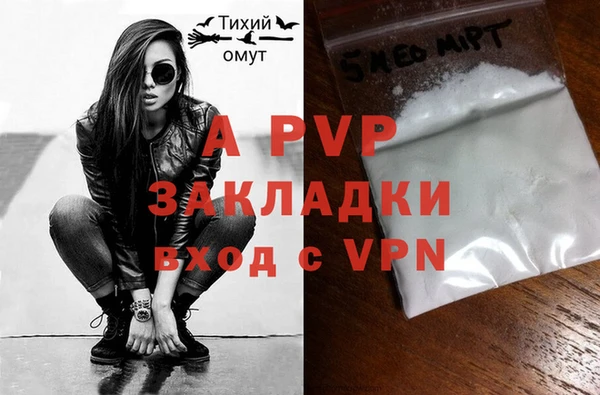 PSILOCYBIN Тайга