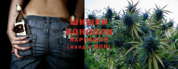 твердый Тавда