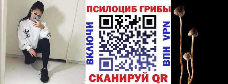 Псилоцибиновые грибы Magic Shrooms  Меленки 